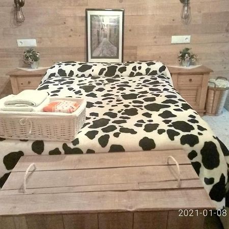 Apartamentos Caleros Caceres Ngoại thất bức ảnh